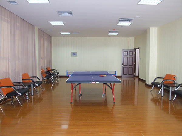 泰疗疗养楼乒乓球室